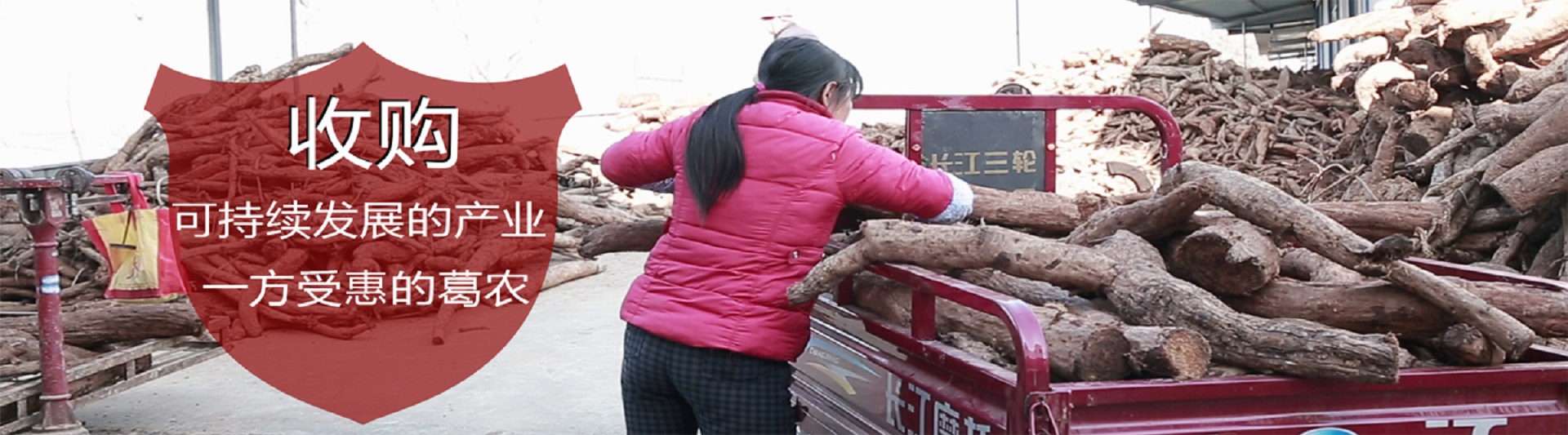 內(nèi)頁橫幅一