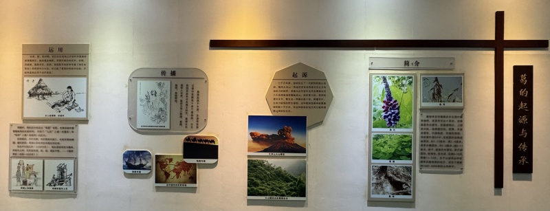 1745220368601724.jpg 葛的起源與傳承.jpg