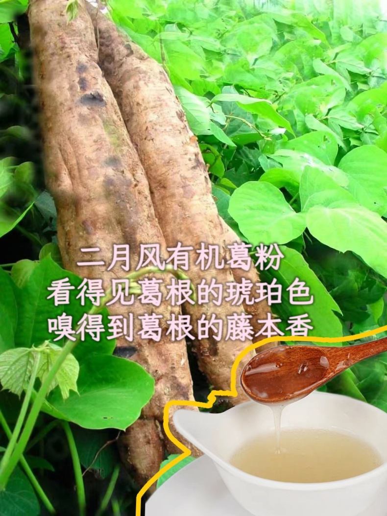 二月風(fēng)有機(jī)葛粉，看得見葛根的琥珀色，嗅得到葛根的藤本香_790.jpg