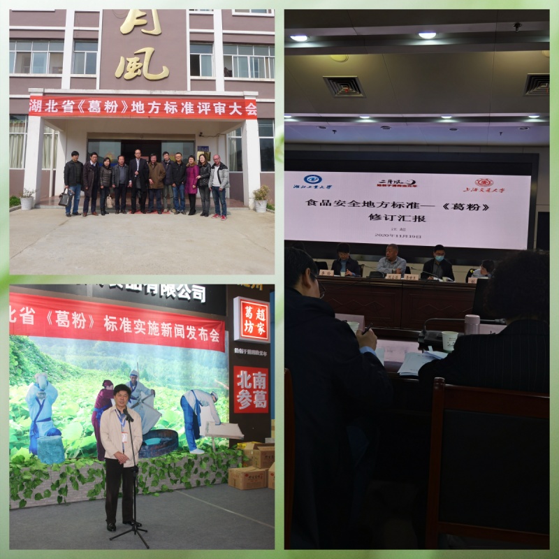 1775615833343703.jpg 《葛粉》標準的制定.jpg