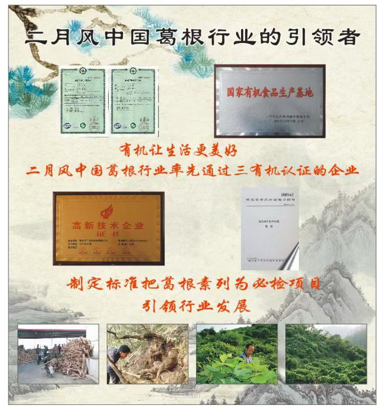 1775615958917907.jpg 二月風中國葛根行業(yè)的引領(lǐng)者_副本.jpg