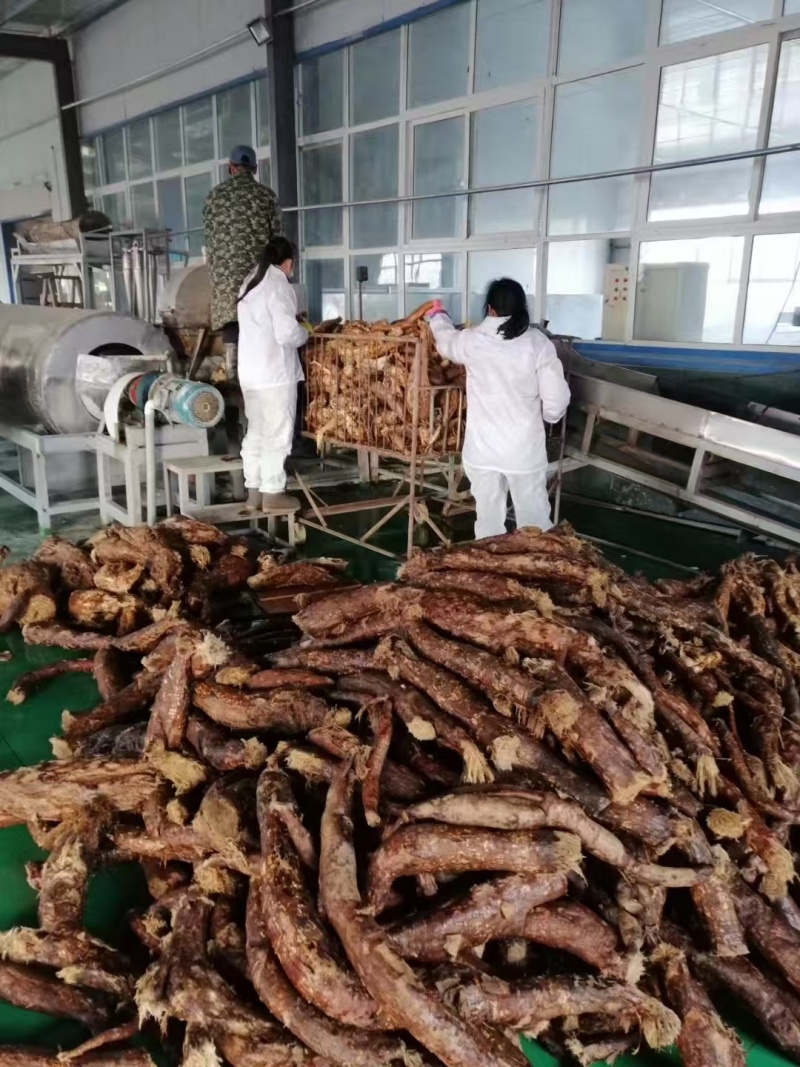 1775616333924278.jpg 微信圖片_20250326085830.jpg