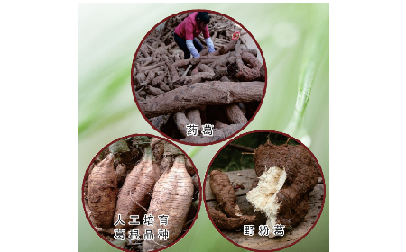 買葛粉是買野生的好？還是野生有機(jī)的好？