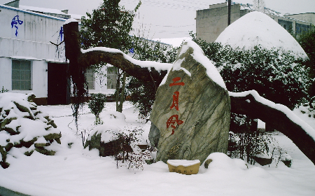 二月風致老友：一碗葛根粉的牽掛，農博會上的重逢之約二月風盼老友：農博會上，再續(xù)葛粉情緣